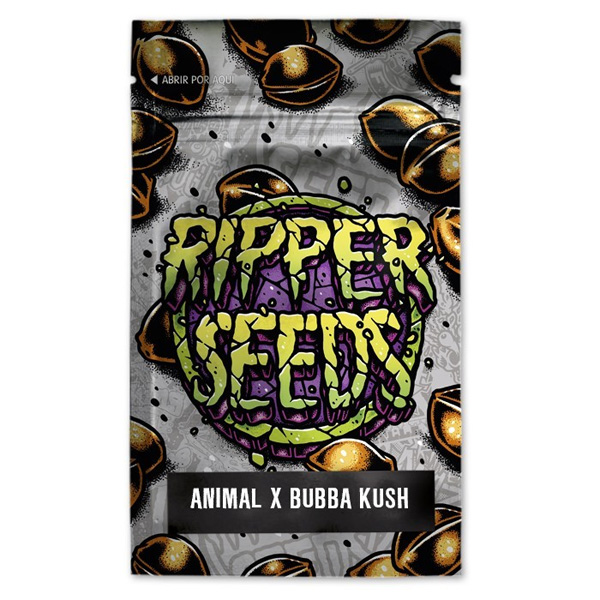 Semillas feminizadas Animal Cookies x Bubba Kush de Ripper Seeds para cultivo