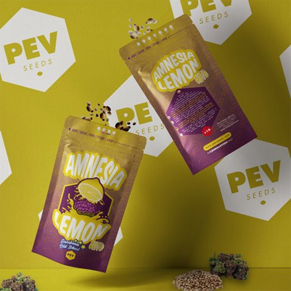 semilla autofloreciente Auto Amnesia Lemon de Pev Seeds
