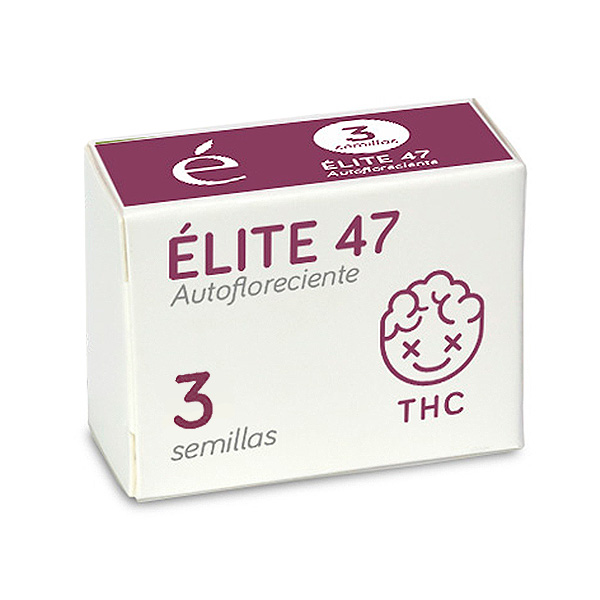 semillas feminizadas Auto Elite 47 de Elite Seeds para cultivo automático