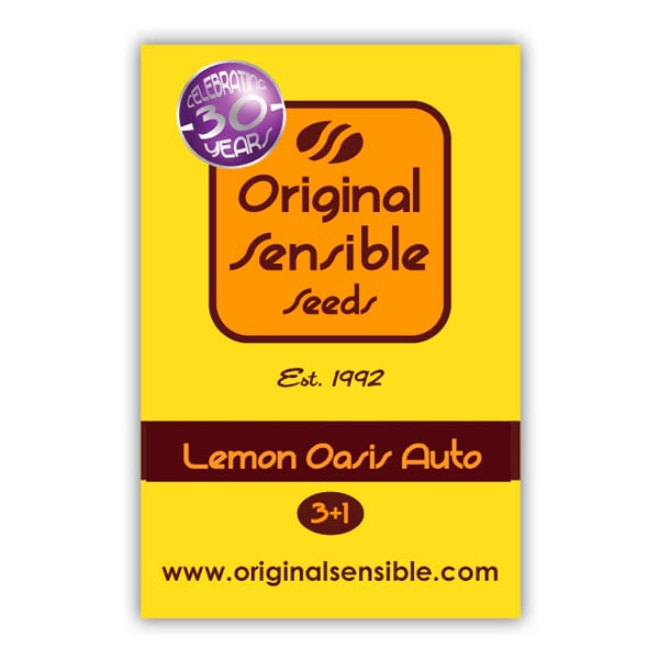 Semilla feminizada Auto Lemon Oasis para cultivo en exterior e interior