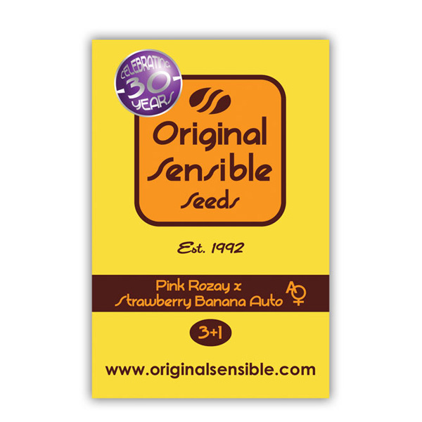 Auto Pink Rozay × Strawberry Banana Original Sensible