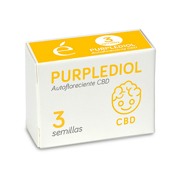 Tres semillas feminizadas Auto Purplediol CBD de Elite Seeds para cultivo automático