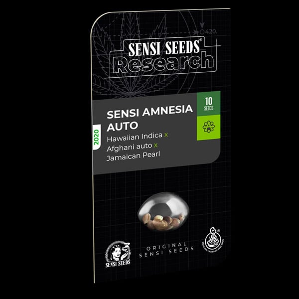 Semillas autoflorecientes Auto Sensi Amnesia de Sensi Seeds Research