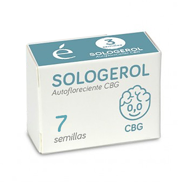 semillas autoflorecientes Auto Sologerol de Elite Seeds para cultivo