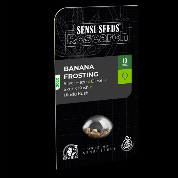 semillas feminizadas Banana Frosting de Sensi Seeds Research