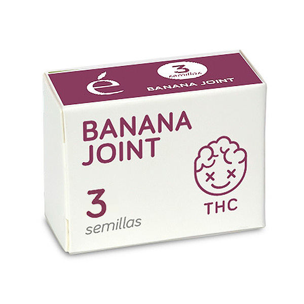 Semillas feminizadas Banana Joint Elite Seeds para cultivo de cannabis