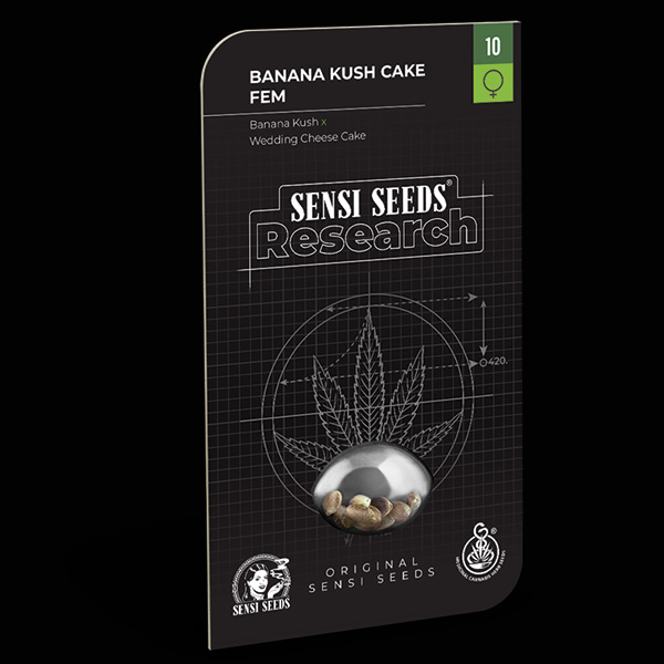 Semillas feminizadas Banana Kush Cake de Sensi Seeds Research para cultivo