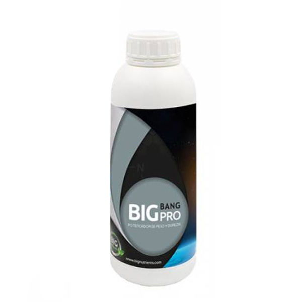 Big bang Pro Big Nutrients