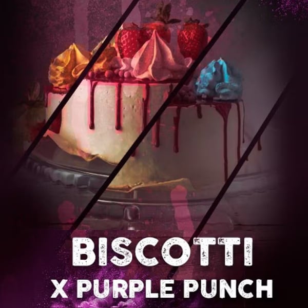 Tres semillas feminizadas Biscotti de Tramuntana Seeds para cultivo