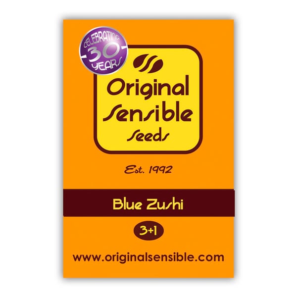 Blue-Zushi-1-u-fem-Original-Sensible
