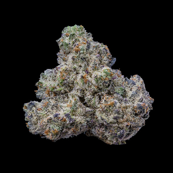 Semillas feminizadas Bogotá 3 de Cookies Seed Bank para cultivo de cannabis