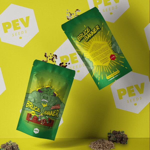 semillas feminizadas Bruce Banner de Pev Seeds para cultivo