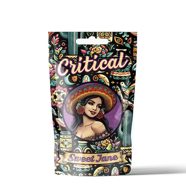 Paquete de semillas CBD Sweet Jane Critical para cultivo