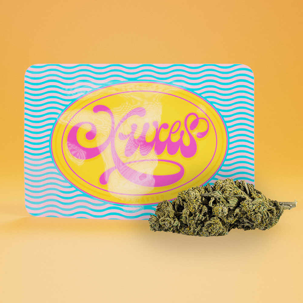 Flores CBD Xuxes Gelato de alta calidad para uso terapéutico