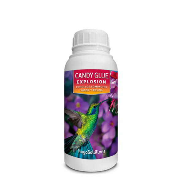 Botella de 250 ml de Candy Glue Explosion para cultivo Kayasolutions