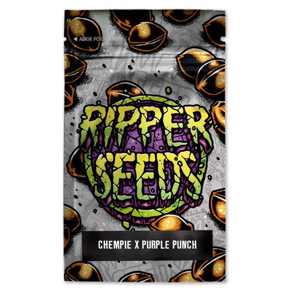 semillas feminizadas Chempie x Purple Punch de Ripper Seeds para cultivo