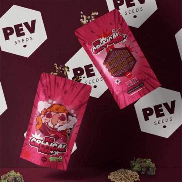 semillas feminizadas Critical Plus de Pev Seeds para cultivo