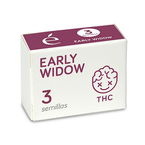 Planta de cannabis Early Widow en maceta, semillas feminizadas Elite Seeds