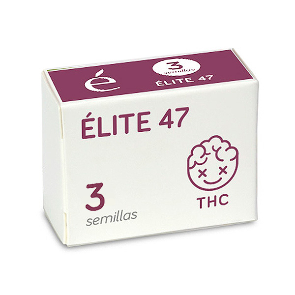 Tres semillas feminizadas Elite-47-3-u de Elite Seeds para cultivo
