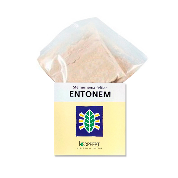 Entonem Steinernema producto de Lucha Biológica para control biológico de plagas