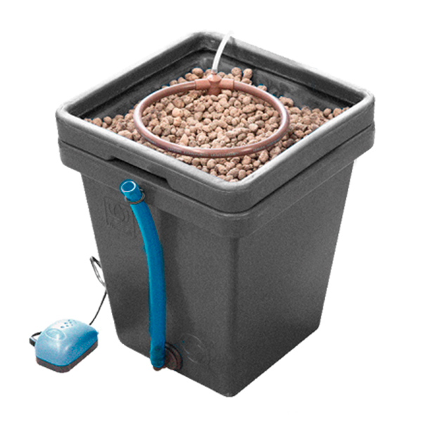 Sistema hidropónico Euro WaterFarm V3 Terra Aquatica para cultivo eficiente