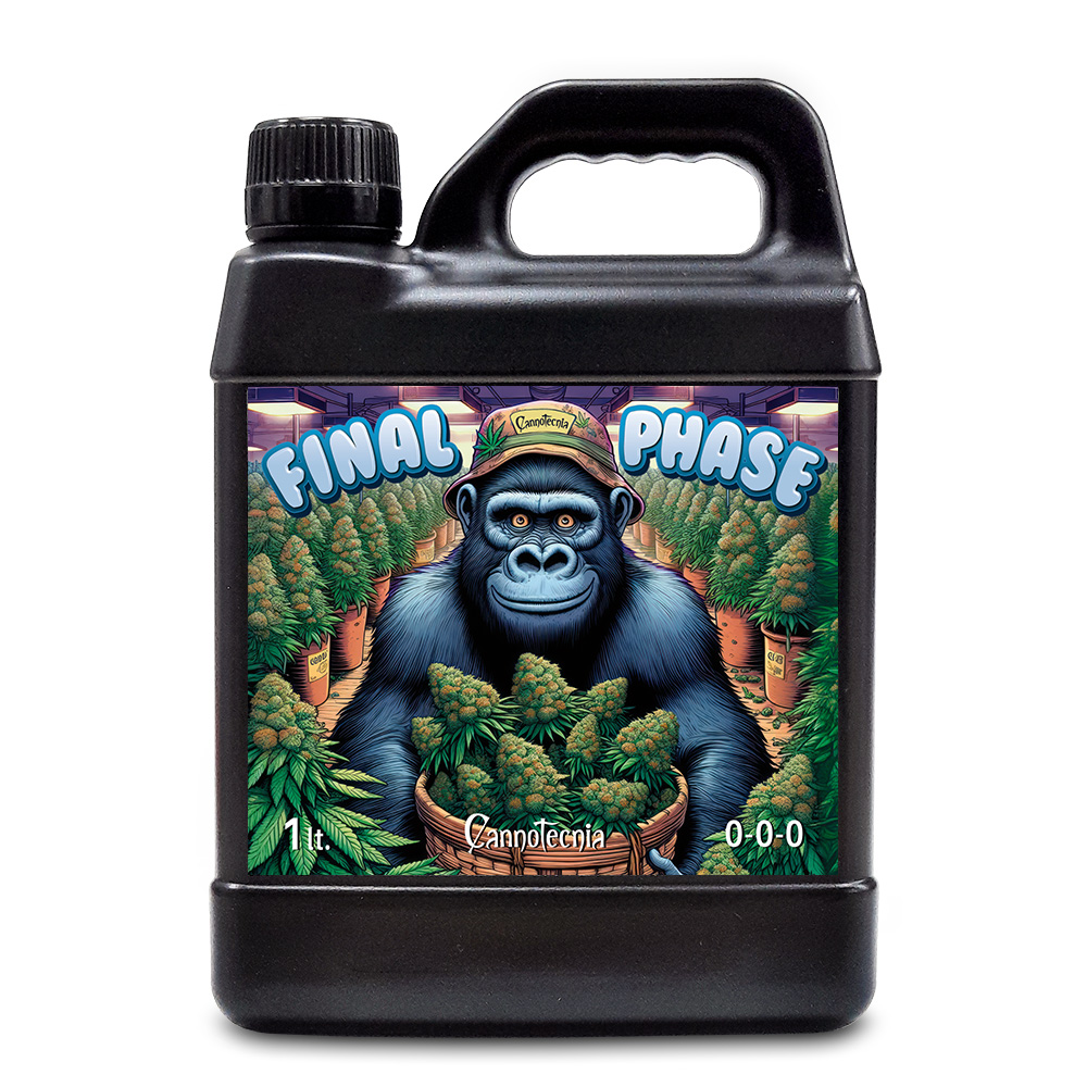 Final Phase Cannotecnia