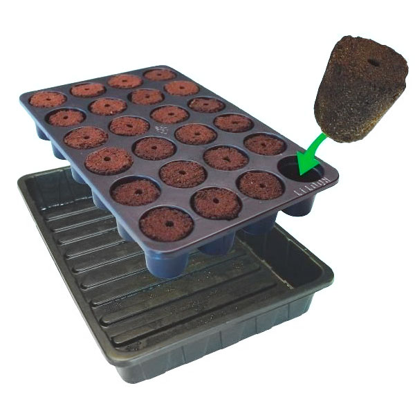 bandeja propagadora Fleximix 24 alveolos con esponja enraizadora Rootit natural