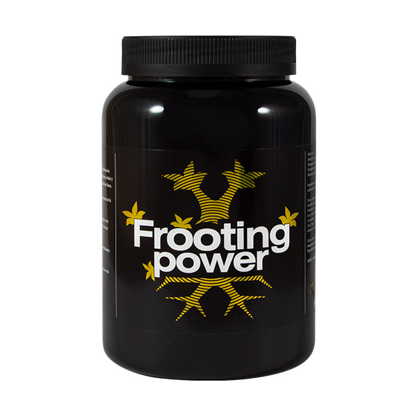Bolsa de 1 kg de Frooting Power fertilizante para cultivo