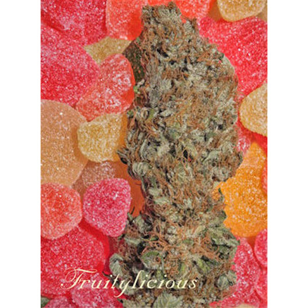 Paquete de semillas feminizadas Fruitylicious 3 unidades Mandala Seeds agotado en origen