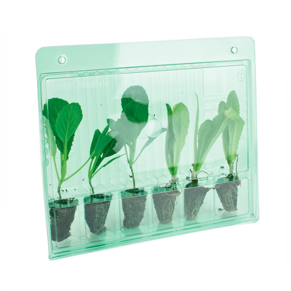 Funda de transporte para 6 esquejes de propagación