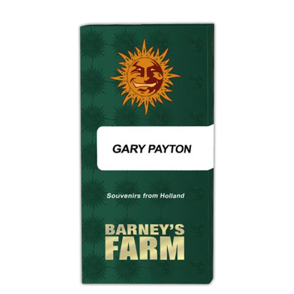 Semilla feminizada Gary Payton-1 de Barneys para cultivo de cannabis