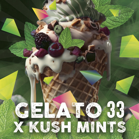 Caja de semillas feminizadas Gelato Mints de Tramuntana Seeds