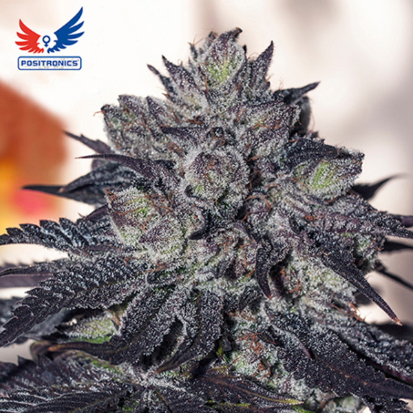 Imagen genérica de producto TopGrow para cultivo