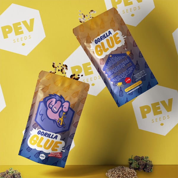 semillas feminizadas Gorilla Glue de Pev Seeds para cultivo