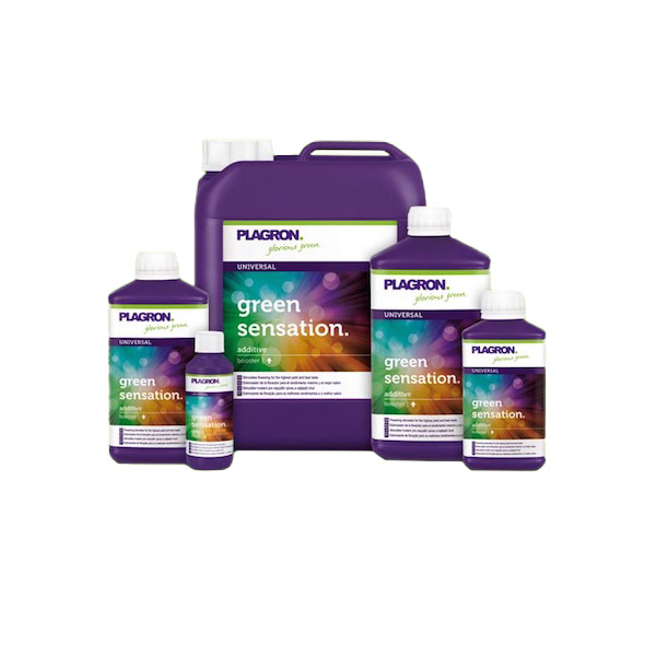 Green Sensation Plagron