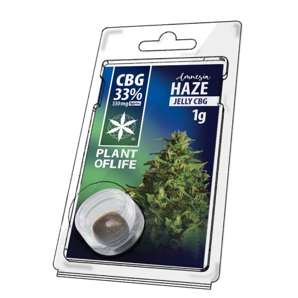 Bloque de hash CBD Jelly CBG Amnesia de Plant of Life