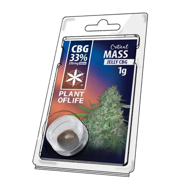 Bloque de hash CBD Jelly CBG Critical Mass para extracción