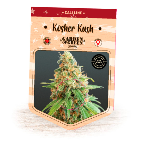 Semilla feminizada Kosher Kush de Garden of Green Seeds para cultivo