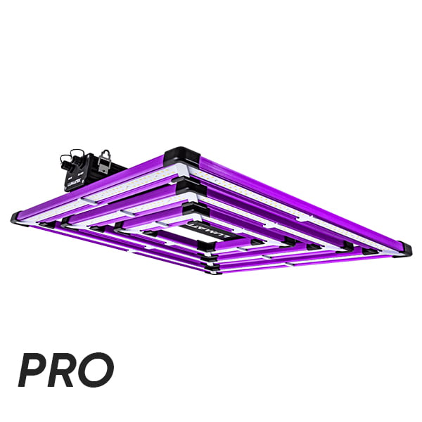 Luz LED Lumatek Attis 300W para cultivo interior