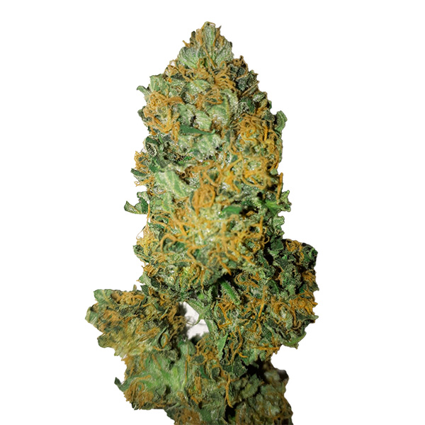 Cogollos feminizados Lemon Diesel CBD para cultivo