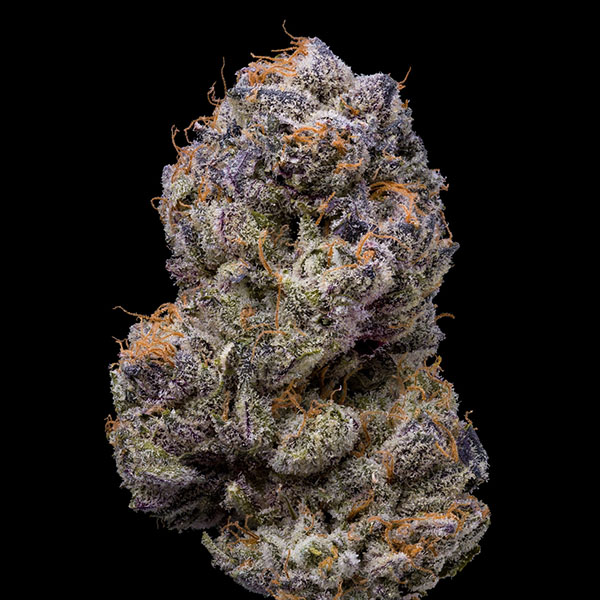 Tres semillas feminizadas Lemongrass de Cookies Seed Bank