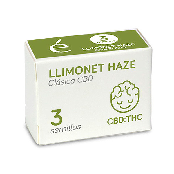 Plantas de Llimonet Haze CBD feminizadas de Elite Seeds