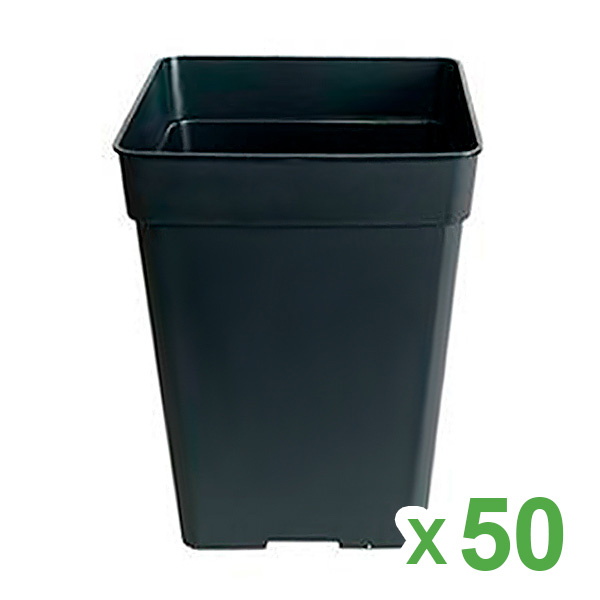 Maceta cuadrada negra de plástico para cultivo