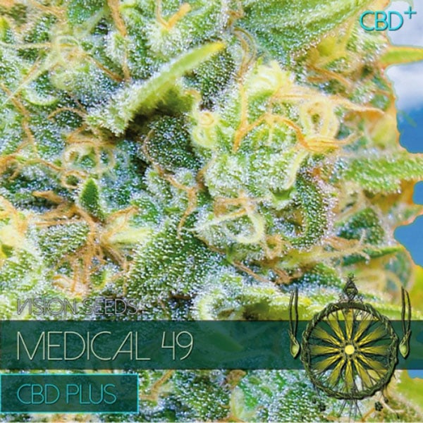 Semillas feminizadas Medical 49 CBD+ de Vision Seeds para cultivo