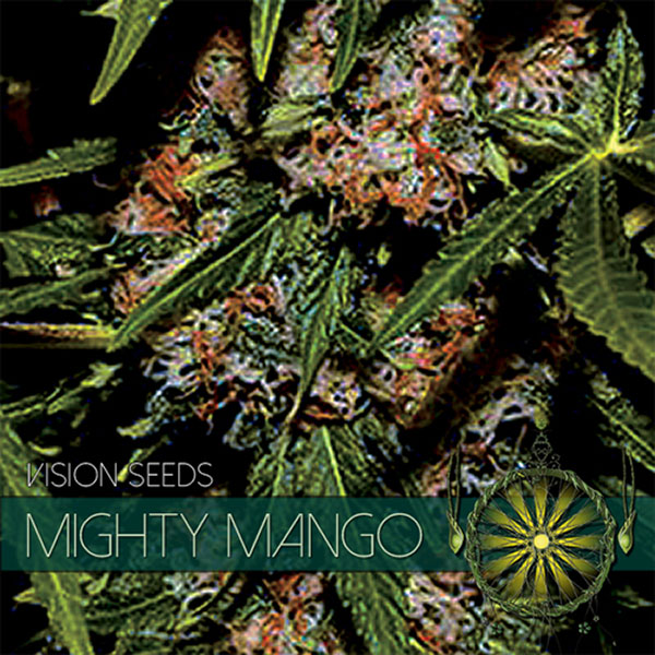 semillas feminizadas Mighty Mango de Vision Seeds