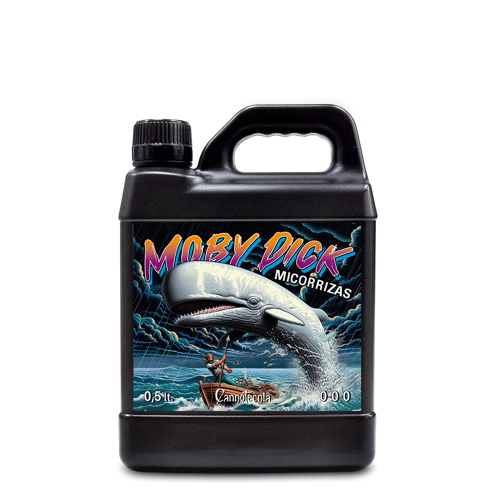 Imagen de la variedad Moby Dick 05 de la marca Cannotecnia para cultivo de cannabis