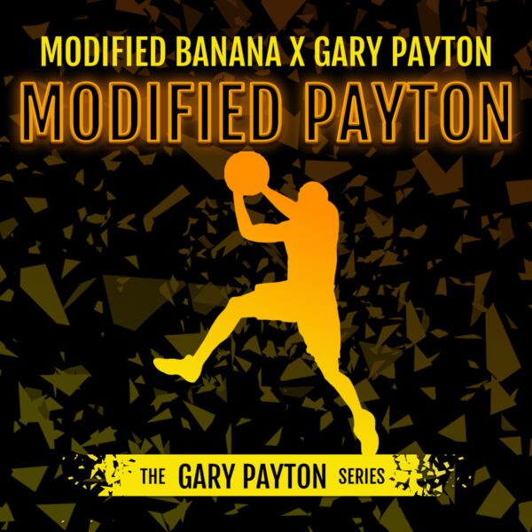 Semillas feminizadas Modified Payton 3 unidades de Elev8 Seeds