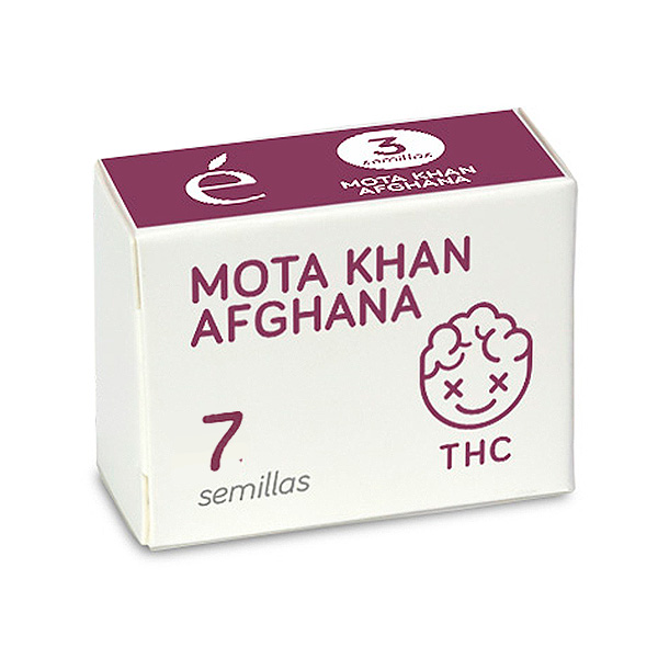 semillas feminizadas Mota Khan Afghana de Elite Seeds para cultivo