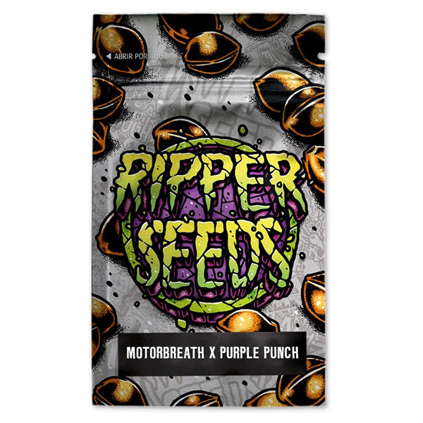 Semillas feminizadas Motorbreath x Purple Punch de Ripper Seeds