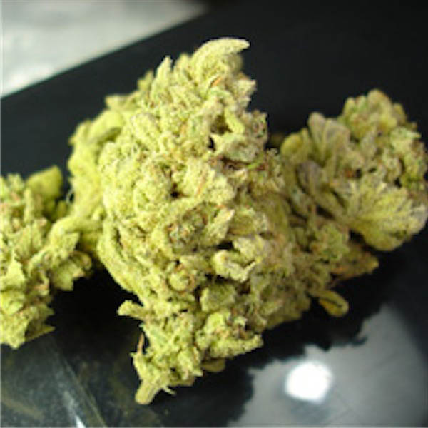 semillas No-Name 5 unidades para cultivo medicinal
